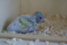 DSC02551.JPG