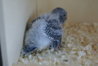 DSC02554.JPG