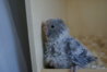 DSC02570.JPG