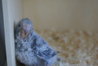 DSC02573.JPG