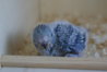DSC02575.JPG