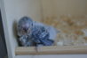 DSC02582.JPG