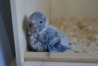 DSC02595.JPG