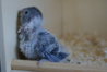 DSC02599.JPG