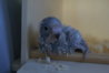 DSC02600.JPG