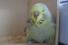 DSC02651.JPG