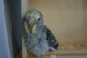 DSC02689.JPG