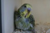 DSC02730.JPG