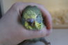 DSC02735.JPG