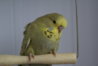 DSC02874.JPG