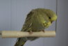 DSC02877.JPG