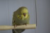 DSC02879.JPG