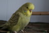 DSC02892.JPG