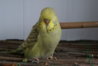 DSC02893.JPG