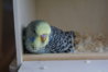 DSC02918.JPG