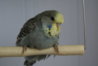 DSC02927.JPG