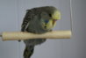 DSC02937.JPG