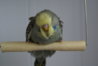 DSC02939.JPG