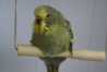 DSC02942.JPG