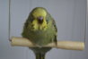 DSC02943.JPG