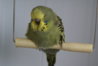 DSC02952.JPG