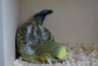 DSC02964.JPG