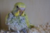 DSC03002.JPG