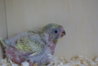 DSC03174.JPG