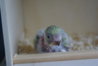 DSC03181.JPG