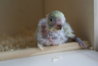 DSC03200.JPG