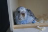 DSC03016.JPG