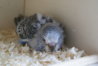 DSC03030.JPG