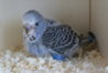 DSC03031.JPG