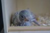 DSC03073.JPG