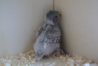 DSC03084.JPG