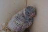 DSC03092.JPG