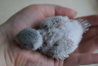 DSC03097.JPG