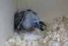 DSC03102.JPG