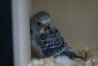 DSC03106.JPG
