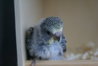 DSC03110.JPG
