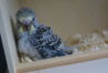 DSC03117.JPG
