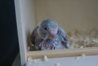 DSC03154.JPG