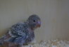 DSC03156.JPG