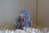 DSC03169.JPG