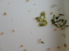 DSC02698.JPG
