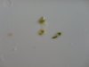 DSC02699.JPG