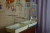 DSC05319.JPG