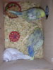DSCN9330.JPG
