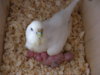 DSCN9241.JPG