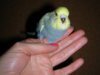 DSCN9335.JPG